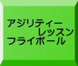 アジリティー 　　　レッスン フライボール